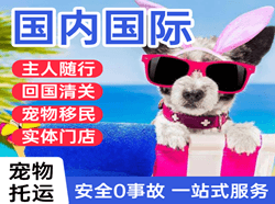 湘西边城航空快运国际宠物托运 【国